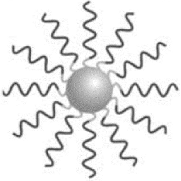 NANOPARTICLE TRANSFECTION COMPLEXES